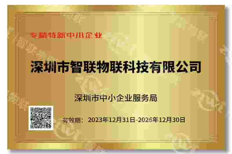 DG视讯DG专精特新证书